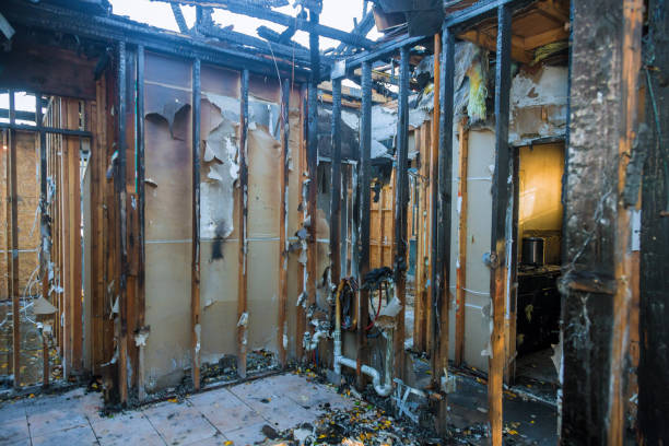Professional Fire Damage Assessment technician working in Marshall, MI